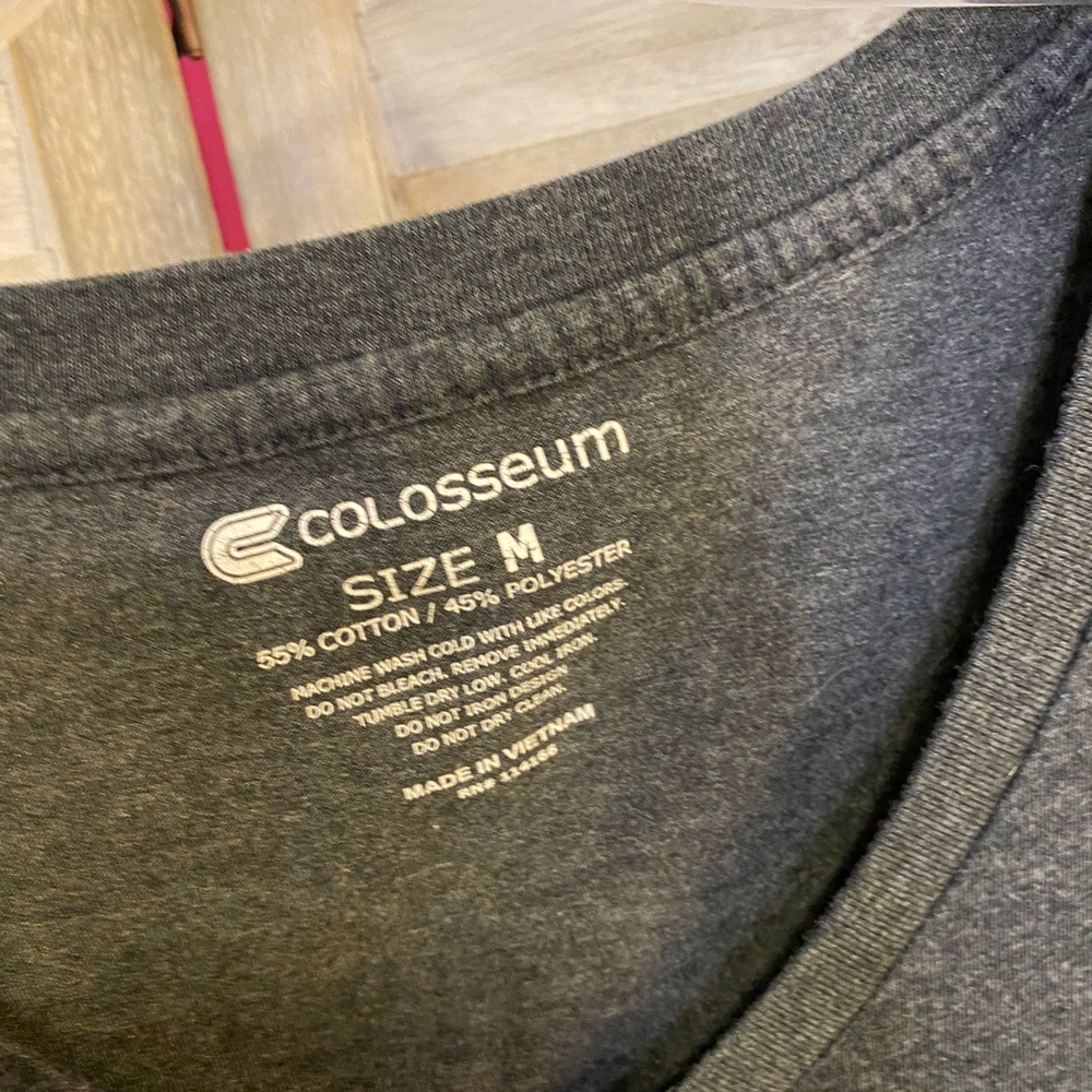 Women’s Wisconsin Badgers V-Neck T-Shirt - M - Picture 2 of 3